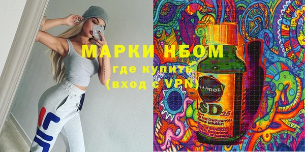крисы Каменка