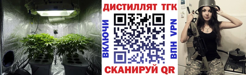 Купить где  Железногорск-Илимский  Дистиллят ТГК THC oil 