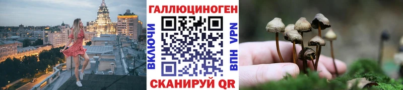 Купить где  Железногорск-Илимский  Псилоцибиновые грибы MAGIC MUSHROOMS 